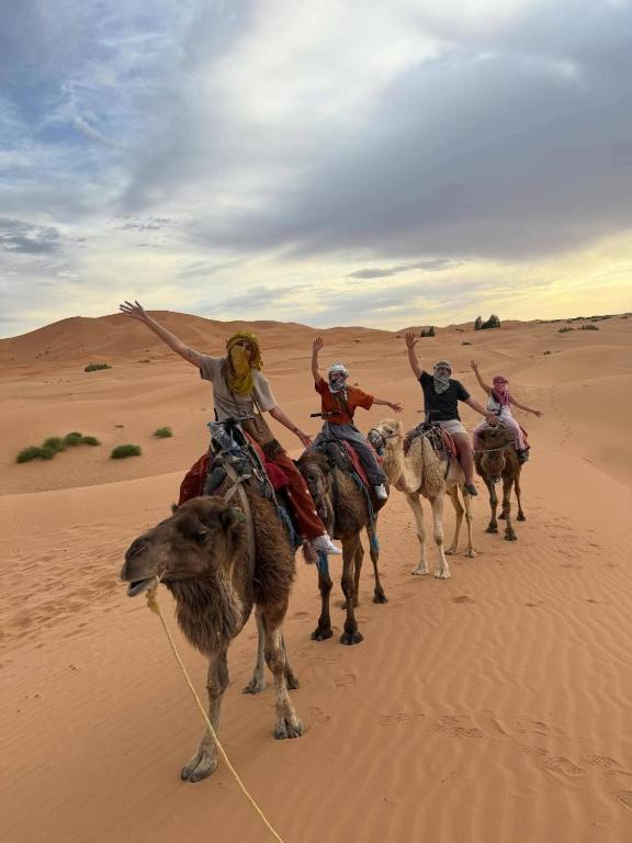 Sahara Camel Trek at Sunset